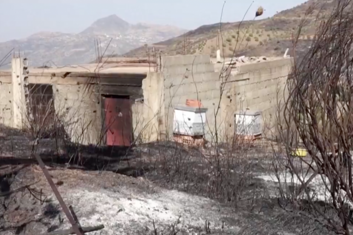 Incêndio em orfanato mata 11 vítimas e fere 19