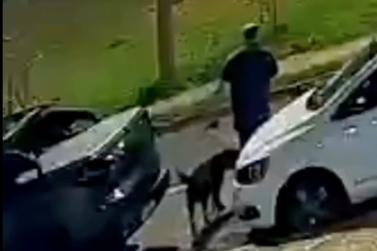 Motorista sobe calçada, atropela homem cego com cão-guia e foge