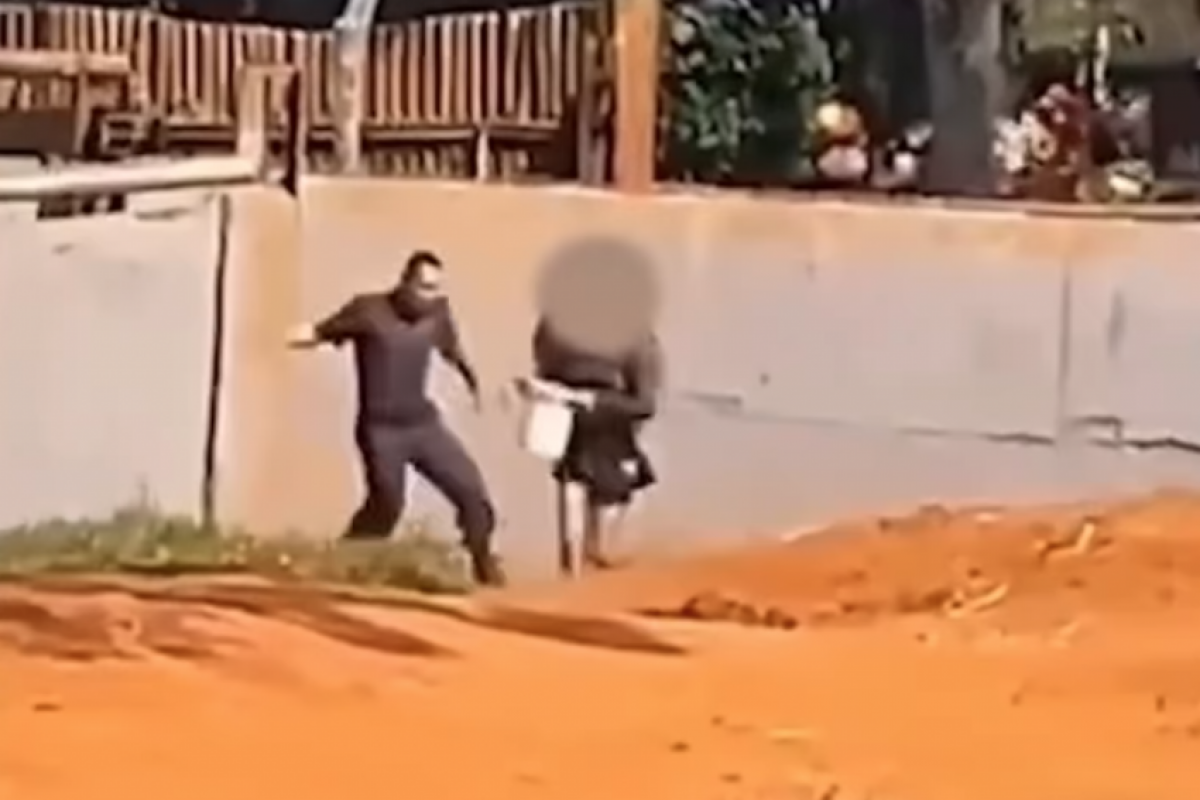 Mulher invade área de elefante no zoo de Brasília; VÍDEO