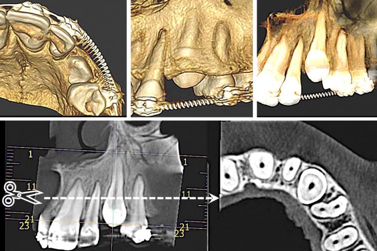 Nada de procedimentos sem imagens e avaliação da saúde geral