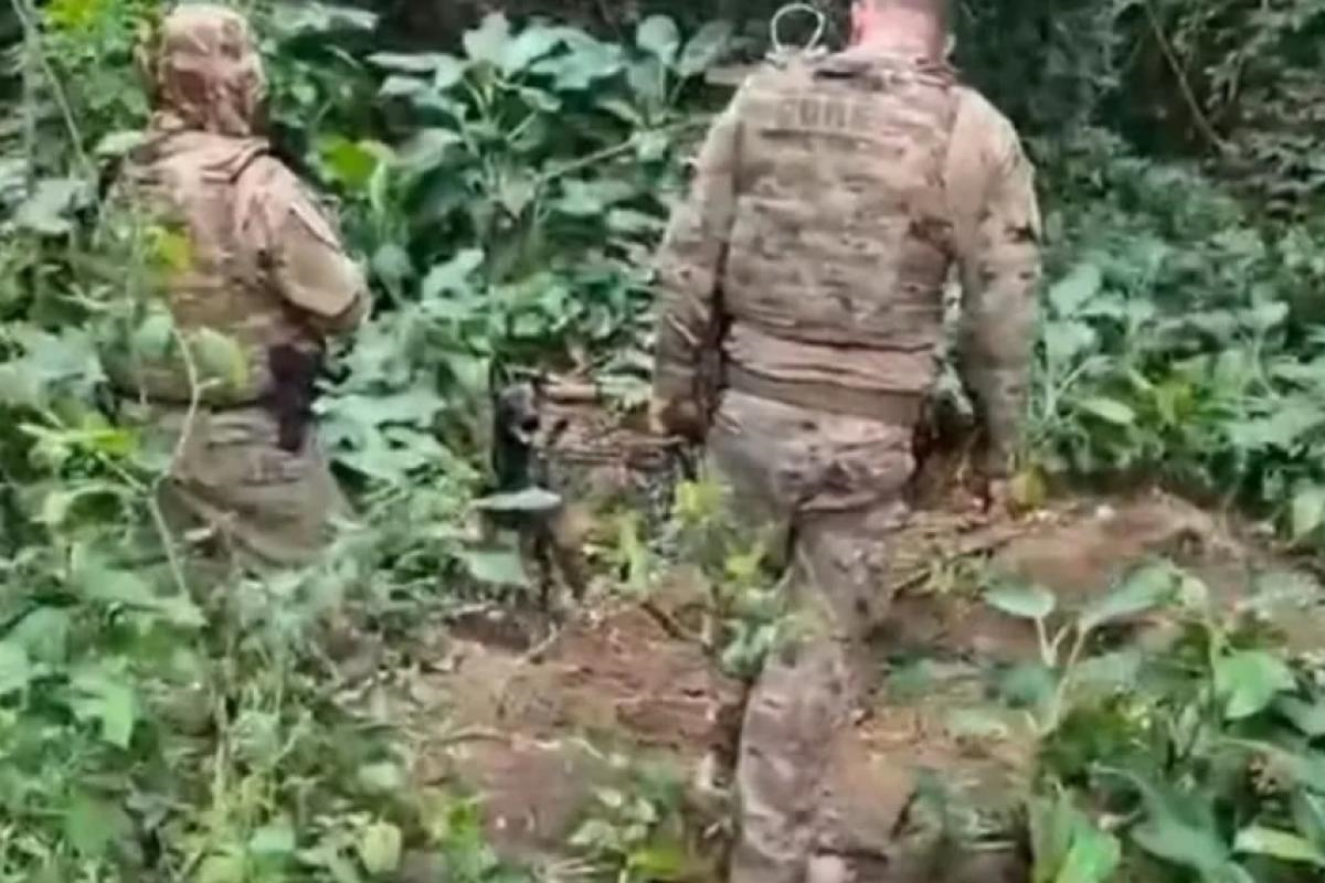 PC acha cabeça humana após explosão em suposto cemitério ilegal
