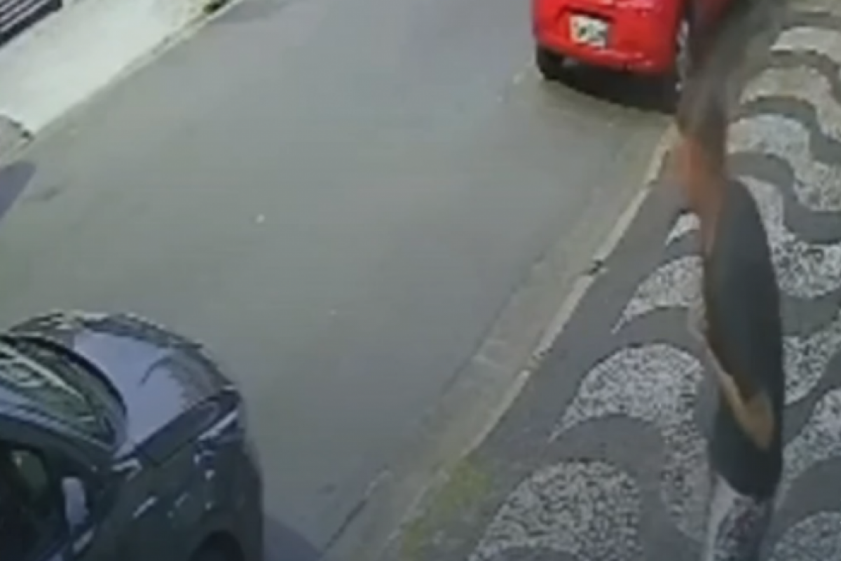 Homem morto com mata-leão estava em surto pela perda do pai; VEJA