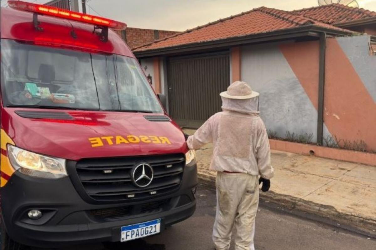 Idosa é salva de ataque de abelhas em Botucatu