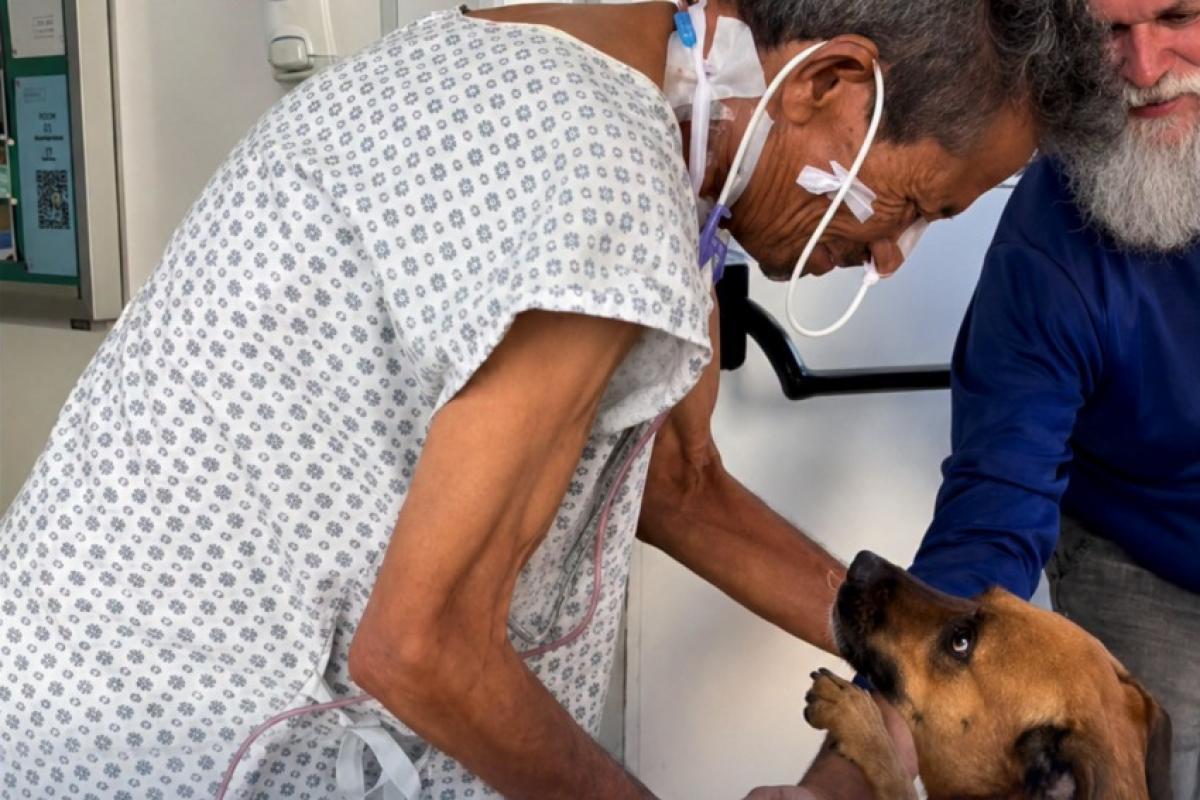 Idoso se emociona ao receber visita de cadela adotada há 1 ano