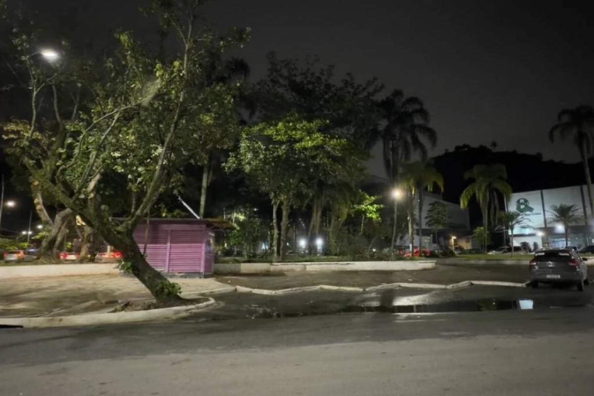 Motorista de aplicativo é preso suspeito de estuprar passageira