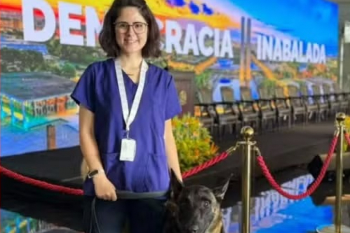 Veterinária é atacada por cão do Senado e está em estado grave