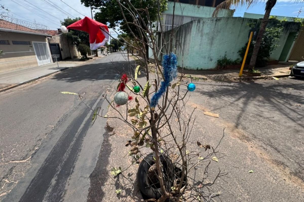 Moradores transformam buraco em 'árvore de Natal' em Bauru