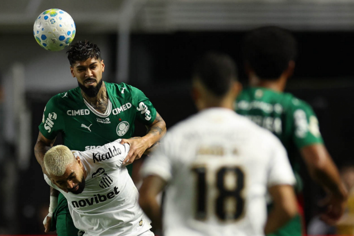 Palmeiras segura pressão do Santos, elimina rival e avança