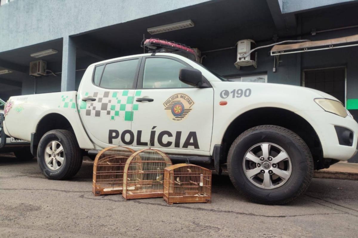 PM Ambiental multa 2 em R$ 9 mil por animais irregulares em Bauru