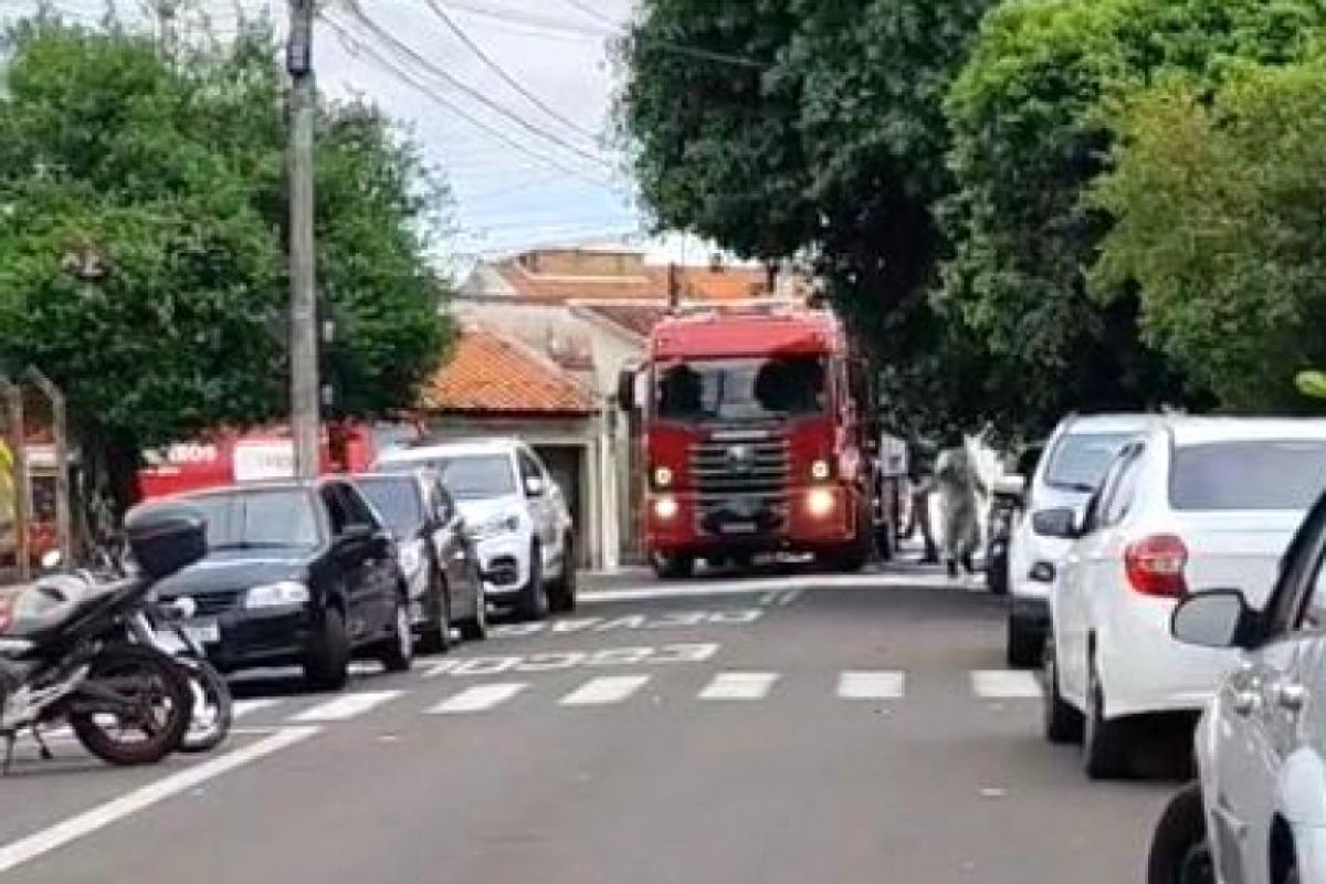 Enxame de abelhas ataca eleitores e deixa 9 feridos em Bauru