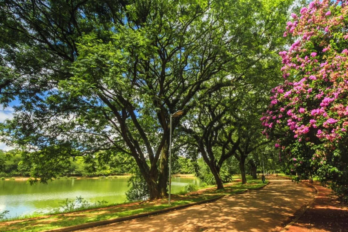 Homem morre após mal súbito durante exercício no Ibira