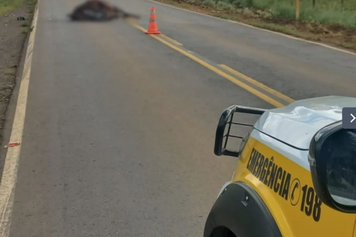 Motociclista atinge cavalo, cai na pista contrária e é atropelado