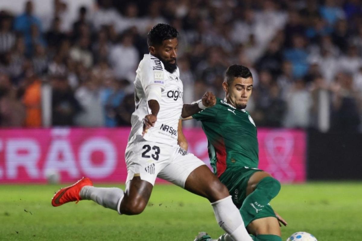 Palmeiras fica no zero com o Santos e Flamengo agradece